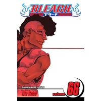 Bleach Volume 66
