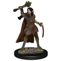 Female Elf Cleric - Icons of the Realms Premium
